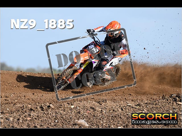 Experts-029