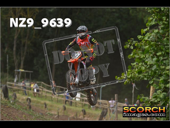 Experts-039