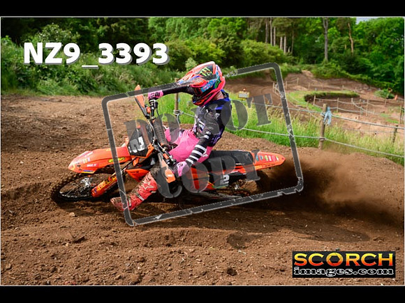 Experts-027