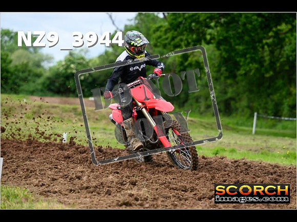 Experts-052