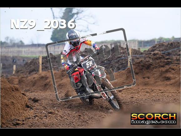 Experts-097