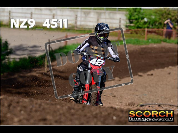 Experts-022