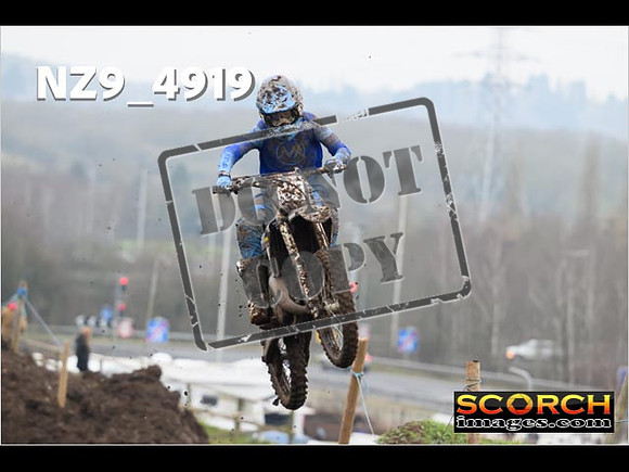 Experts-389