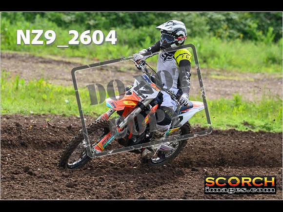 Experts-052