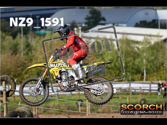 Experts-273