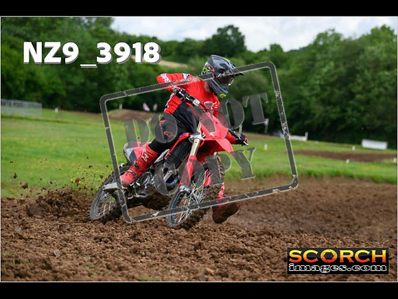 Experts-028