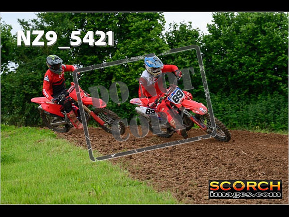Experts-353