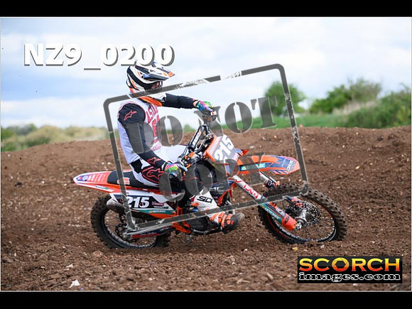 Experts-137