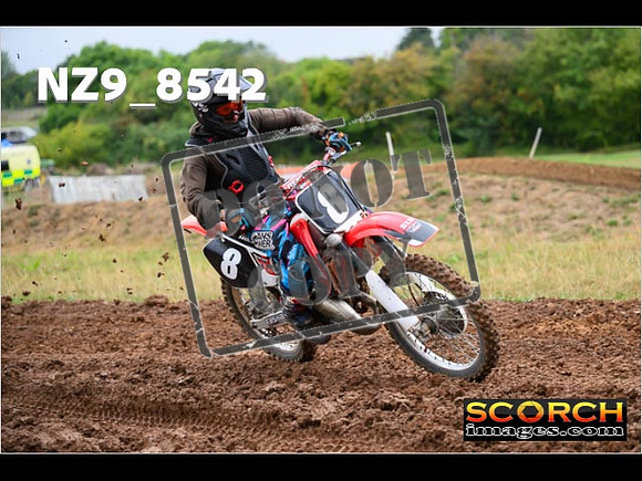 Experts-088