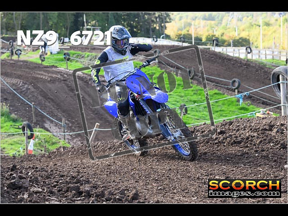 Experts-115