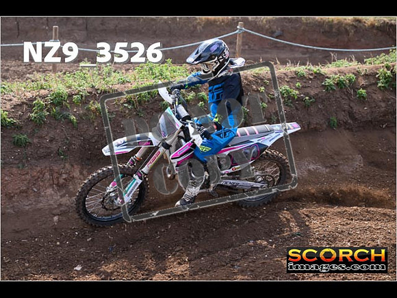 Experts-091