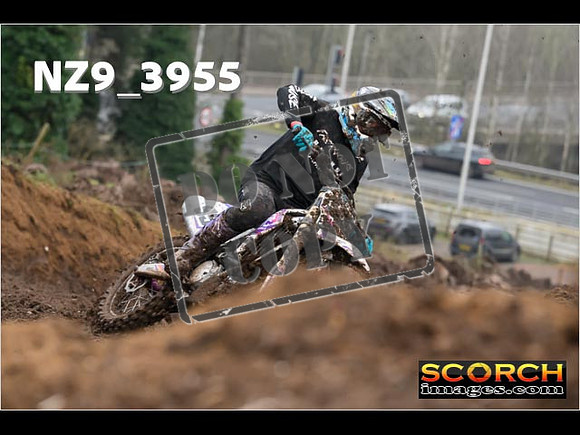 Experts-146