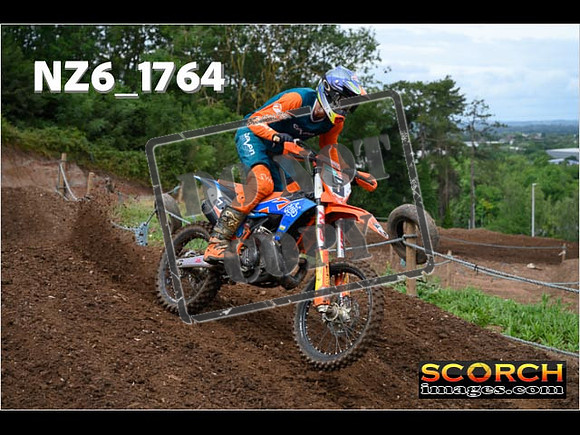 Experts-080