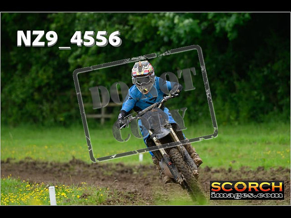 Experts-272
