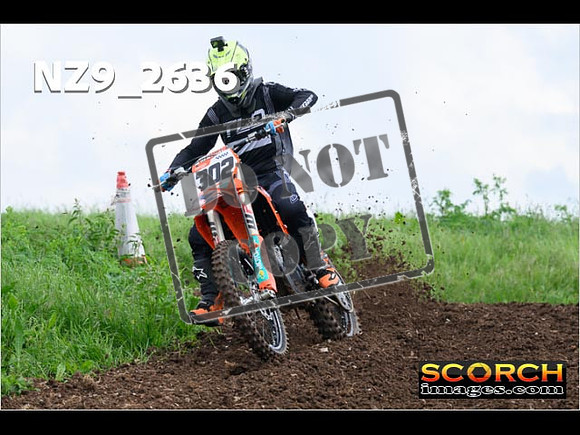 Experts-084
