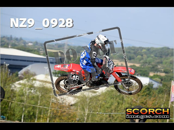 Experts-137