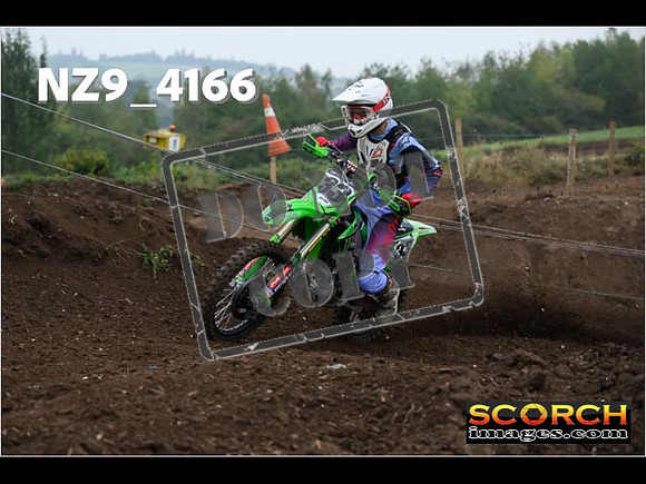 IntersGreenOrange-141