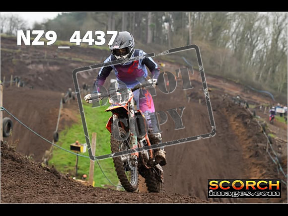 Experts-278