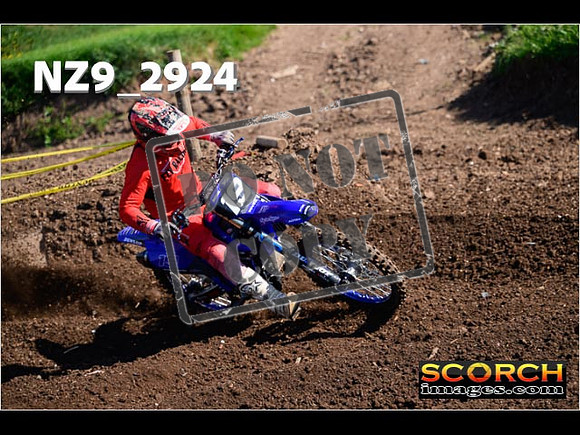 Experts-096