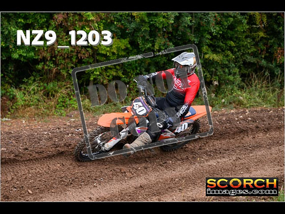 Experts-082