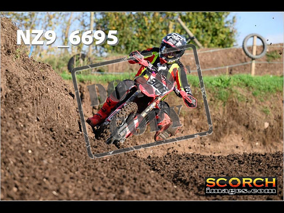 Experts-091