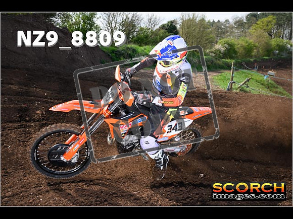 Experts-053