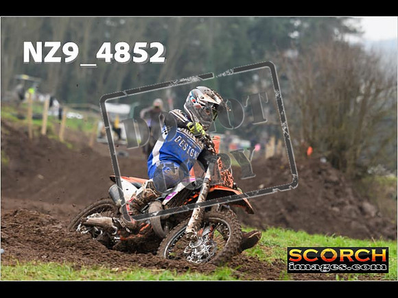 Experts-328