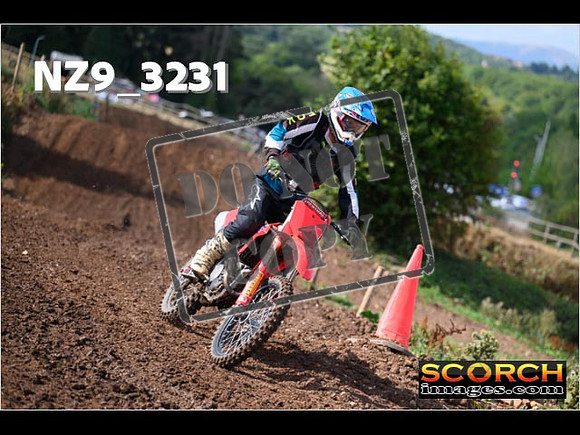 Experts-041