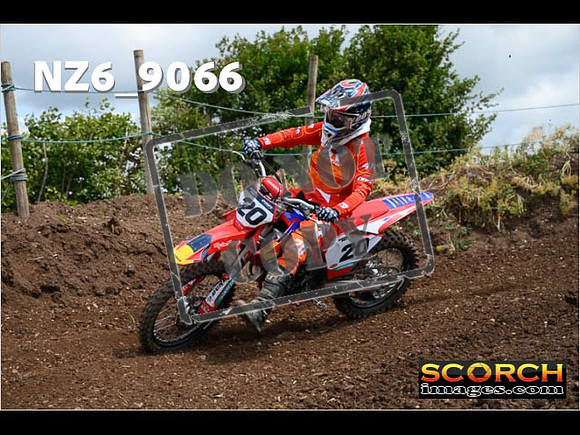 Experts-131