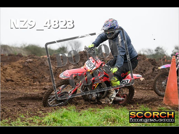Experts-299