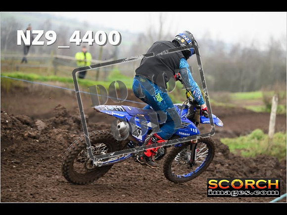 Experts-244
