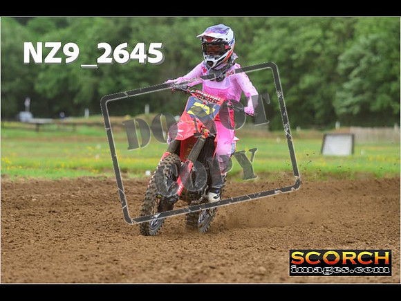 Novice-235
