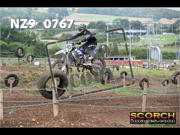 Experts-124