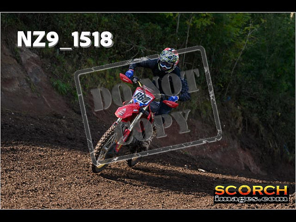 Experts-208