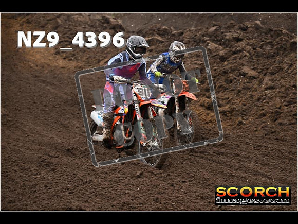Experts-241