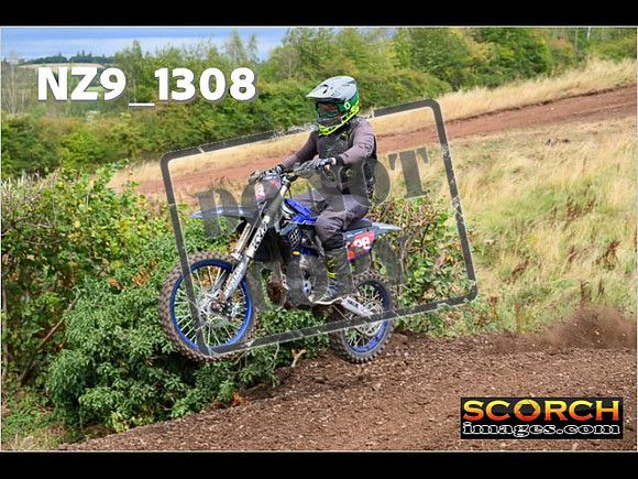 IntersBlue-170