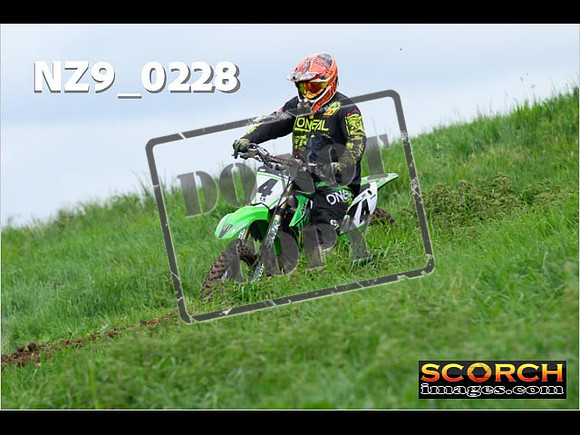IntersGreen-178