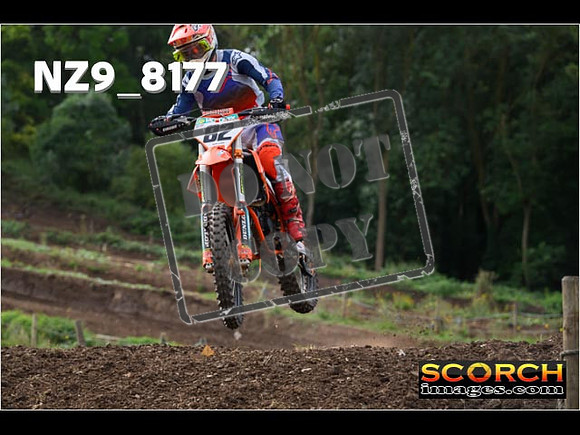 Experts-115