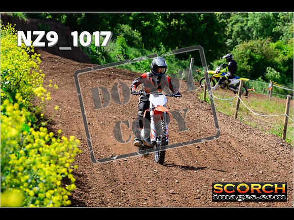 IntersGreen-080