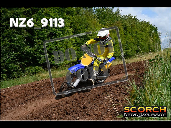 Experts-176