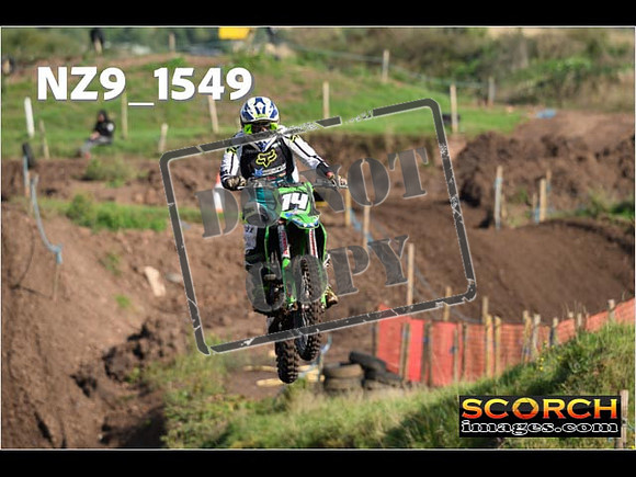 Experts-232