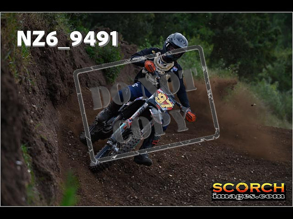 Experts-255