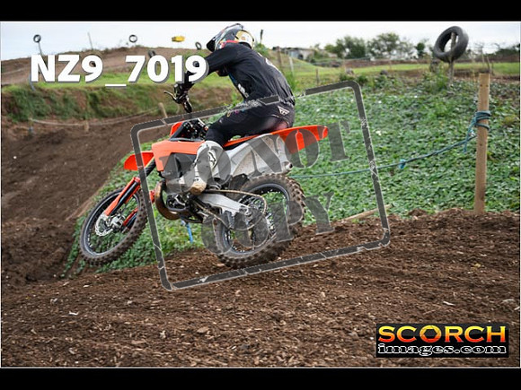 Experts-091