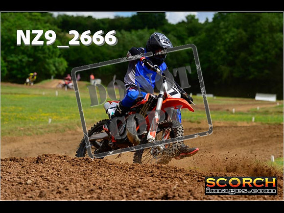 Novice-255