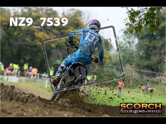Experts-081