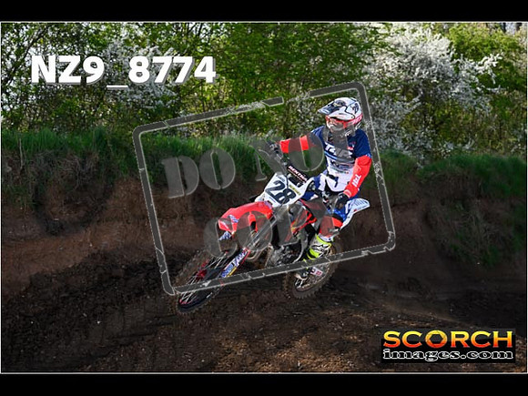 Experts-019