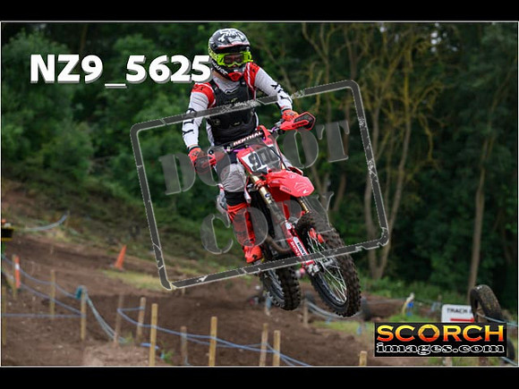 Experts-030