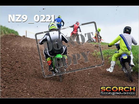 IntersGreen-171