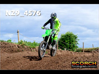 IntersGreen-018
