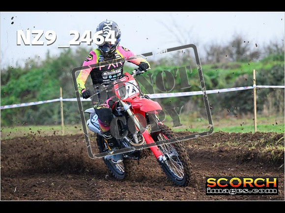 Experts-054